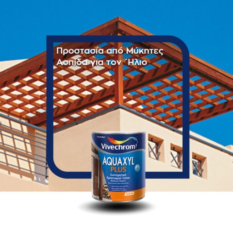 AQUAXYL PLUS Water Based Wood Preservative