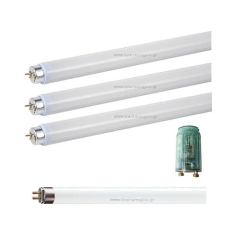 Fluorescent Bulbs