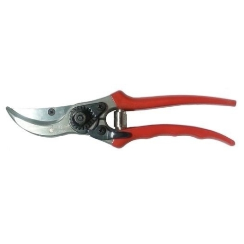 Pruning Shears
