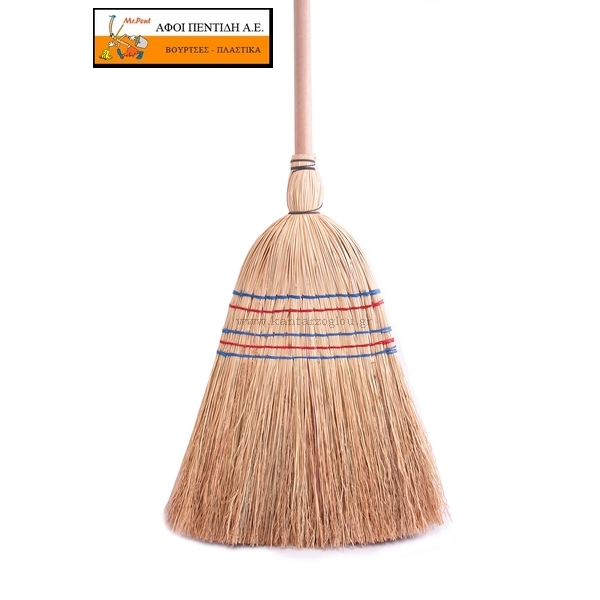 Σκούπα Χόρτου με Κοντάρι